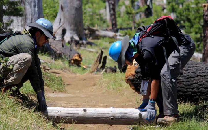 two people pick up a log that is blocking a trail during a service project
